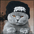 Аватар для l33t*fOx
