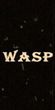 Аватар для WasP-rnbstar-WasP