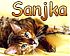 Аватар для Sanjka