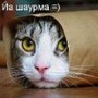Аватар для KegaL