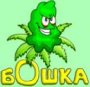 Аватар для kumarr
