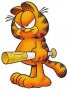Аватар для Garfield.