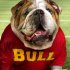 Аватар для BullDogg