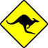 Аватар для The Kangaroo