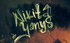 Аватар для nikita_yanus