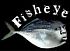 Аватар для Fisheye