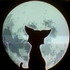 Аватар для antifox