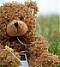 Аватар для Teddybear