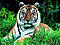 Аватар для The Tiger
