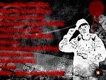 coverB